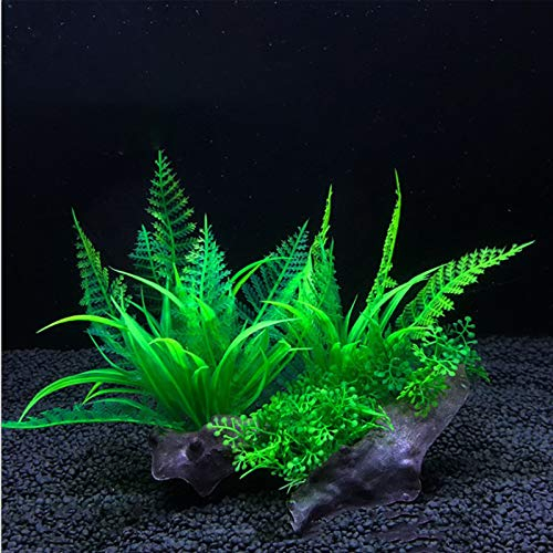 Dulau 2 pezzi Piante Artificiali per Acquario in Plastica, Accessorio per Decorazione Acquario, Decorazione Acquatica, Simulazione Acquario, Piante Idroponica