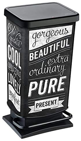 Rotho Paso Mülleimer 40l mit Pedal und Deckel, Kunststoff (PP) BPA-frei, hipster, 40l (35.3 x 29.5 x 67.6 cm)