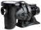 DAB EUROSWIM 300 M 3 HP Pompe électrique monophasée centrifuge auto-amorçante silencieuse domestique et résidentielle liquides agressifs élevages halieutiques agriculture et industrie