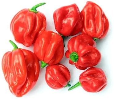 Scotch Bonnet Peppers-1x2kg