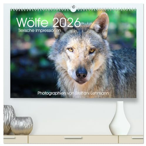 Wölfe 2026. Tierische Impressionen (hochwertiger Premium Wandkalender 2026 DIN A2 quer), Kunstdruck in Hochglanz: 12 bezaubernde Bilder von wilden Wölfen (CALVENDO Tiere)
