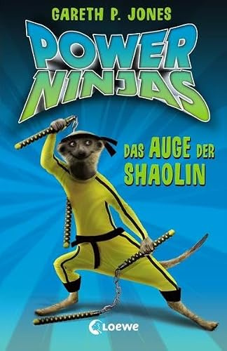 Power Ninjas, Band 2: Das Auge der Shaolin