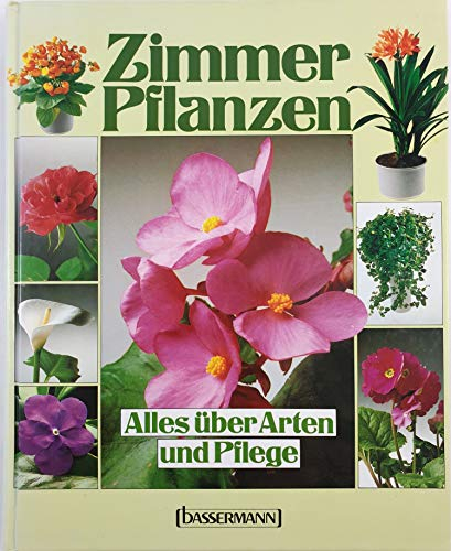 Zimmerpflanzen. Alles über Arten und Pflege