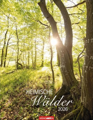 Heimische Wälder Kalender 2026: Hochwertiger Foto-Wandkalender für Naturfreunde: Eine magische Reise durch die Welt der Bäume. Stimmungsvolle Wald-Landschaften im Format 34 x 44 cm