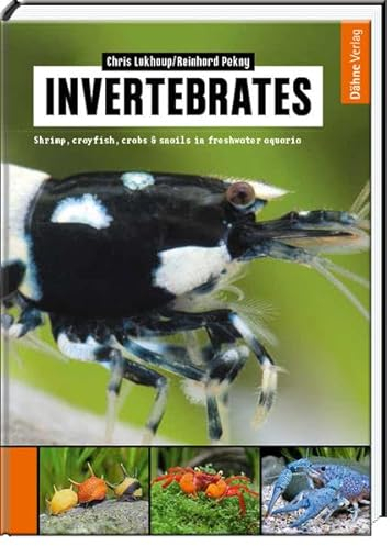 Invertebrates: Shrimp, crayfish, crabs & snails in freshwater aquaria