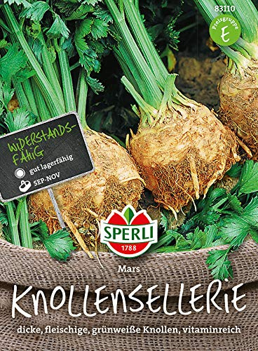 Knollensellerie, 'Mars'
