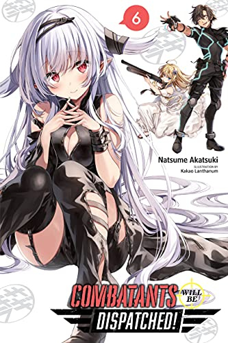 Combatants Will Be Dispatched!, Vol. 6 (light novel) (Volume 6)