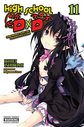 High School DxD, Vol. 11 (light novel): Ouroboros and the Promotion Exam (HIGH SCHOOL DXD LIGHT NOVEL SC)