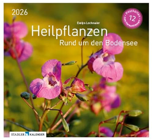 Heilpfanzen rund um den Bodensee 2026: Postkarten-Tischkalender
