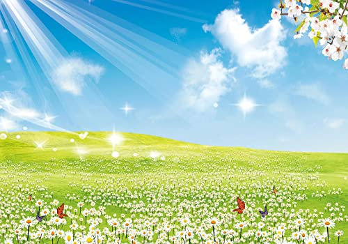 Fototapete 3D Effekt Vliestapete Tapeten Blauer Himmel Weiße Wolken Sonnenschein Wiese Blumen Naturlandschaft Fototapete Wandtapete Wallpaper Wandbilder 350x245cm