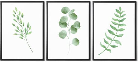 State Media Vision Set Of 3 Plant Botanical Prints For Living or Bedroom Walls, Unframed Natural Home Bathroom Decor, A4 Prints Poster Set
