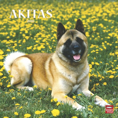Akitas 2010
