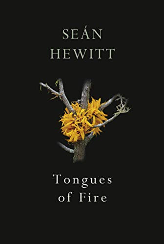 Tongues of Fire: From the award-winning author of Open, Heaven