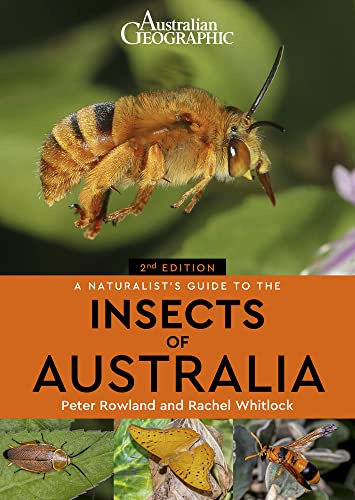 A Naturalist's Guide to the Insects of Australia (2nd) (Naturalist's Guides)