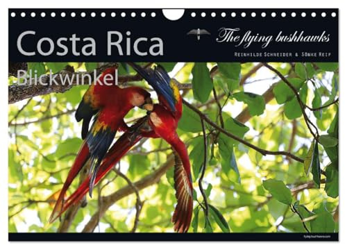 Costa Rica Blickwinkel 2026 (Wandkalender 2026 DIN A4 quer), CALVENDO Monatskalender: Costa Rica - flying bushhawks Blickwinkel Kalender (CALVENDO Orte)