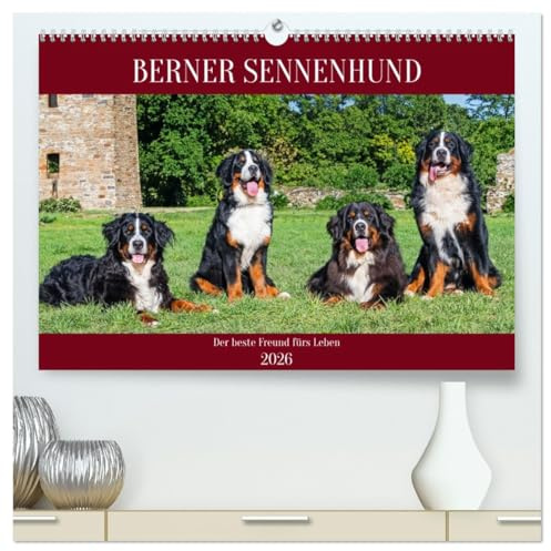 Berner Sennenhund - Der beste Freund fürs Leben (hochwertiger Premium Wandkalender 2026 DIN A2 quer), Kunstdruck in Hochglanz: Er ist traumhaft schön, ... Bilder dieser Traumhunde. (CALVENDO Tiere)