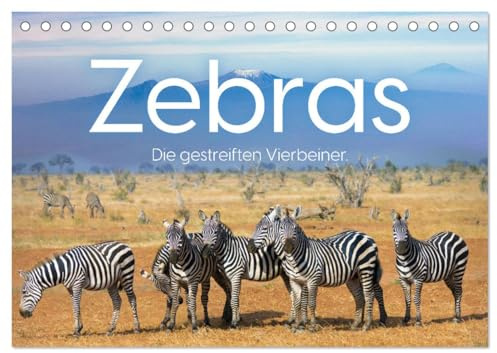 Zebras - Die gestreiften Vierbeiner. (Tischkalender 2026 DIN A5 quer), CALVENDO Monatskalender: Komm mit auf eine Reise zu den Zebras (CALVENDO Tiere)