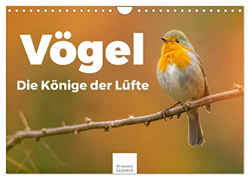 Vögel - Die Könige der Lüfte (Wandkalender 2026 DIN A4 quer), CALVENDO Monatskalender: Entdecken Sie die Welt der Vögel. (CALVENDO Tiere)