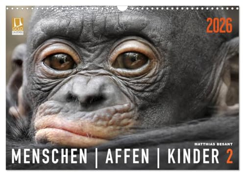 MENSCHENAFFENKINDER 2 (Wandkalender 2026 DIN A3 quer), CALVENDO Monatskalender: Neue Porträts von Primatenkindern (CALVENDO Tiere)