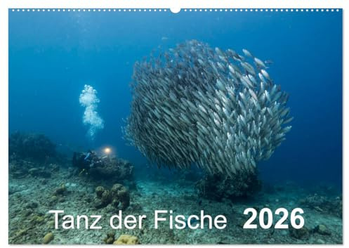 Tanz der Fische (Wandkalender 2026 DIN A2 quer), CALVENDO Monatskalender: Fischbälle - eine großartige Begegnung mit den verschiedensten Formen! (CALVENDO Natur)