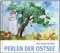 Perlen der Ostsee (Literatur und Aquarelle)