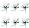 6 Stück Hochzeit Braut Blumen Anstecker, Rose Blumen Anstecker, Hochzeitsanstecker der Männer, Hochzeitsbrosche, Hochzeit Rose Blumen Anstecker, für Party Prom Männer Anzug Dekoration, Weiß