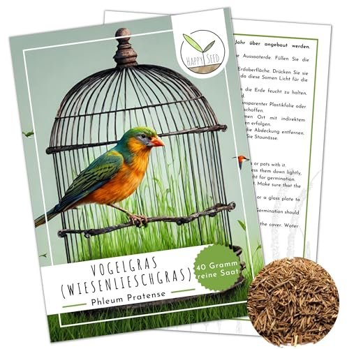 Vogelgras Samen (Phleum pratense) - Frisches Grünfutter und wertvolle Vitaminnahrung für Ziervögel und Kleintiere