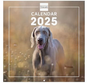 Finocam - Bebilderter Wandkalender International 2025 Monatsansicht Januar 2025 bis Dezember 2025 (12 Monate) Dogs International