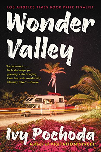 Wonder Valley: NPR Best Book – A Gripping Literary Thriller of Dark Los Angeles Mysteries and Interconnected Lives