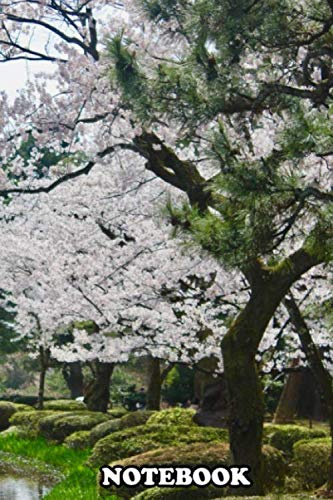Notebook: River Blossoms , Journal for Writing, College Ruled Size 6 x 9, 110 Pages