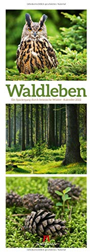 Waldleben - Ein Spaziergang durch heimische Wälder, Triplet-Kalender 2022 - Wandkalender im Hochformat (24x66 cm) - Waldkalender / Naturkalender