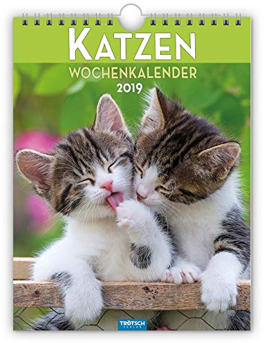 Wochenkalender Katzen 2019 als Wandkalender Wochenplaner