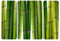 Apalis Selbstklebendes Wandbild Bambuspflanzen Triptychon II Asien Natur Grün China, Größe:144cm x 216cm