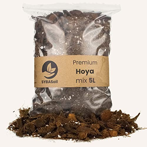 Sybotanica Hoya-Erde 5 L – Premium Coco Blumenerde für Hoya & mehr, Torffrei & 180 Tage Bio-Dünger – Für Zimmerpflanzen-Liebhaber