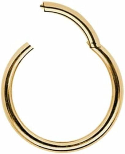 CLICKER SEPTUM NASENRING SEGMENTRING Gelbgold Piercing Ring Scharnier Nase Ohr Helix Tragus Brust Intim Augenbraue Segment Piercingring Klicker Gelb Gold CHIRURGENSTAHL 316L EDELSTAHL (1,2 mm x 8 mm)