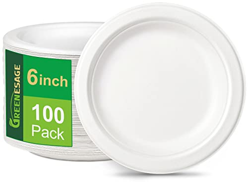 GREENESAGE Piatti usa e getta, 100 pezzi, piatti di carta, 15 cm, bianchi, rotondi, piccoli, piatti usa e getta, piatti monouso, biodegradabili