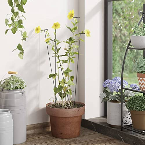 Home & Garden Pflanzenstecker mit Garten, schwarz, 40 cm, Stahl, 20 Stück