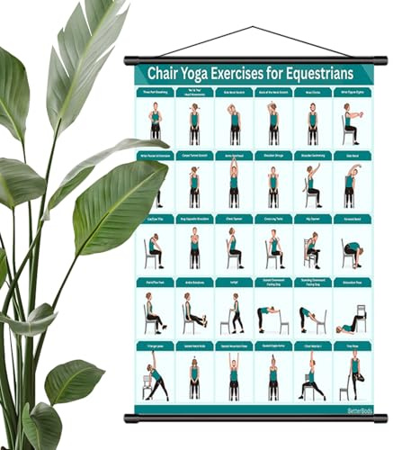 Stuhl Yoga Für Senioren Über 60 Poster, 30+ Posen Für Senioren Und Anfänger, Verbessern Mobilität, Gleichgewicht, Sanfter Yoga-Leitfaden Mit Sitzenden Posen, Senioren-Fitness-Wandkunst Für Zuhause