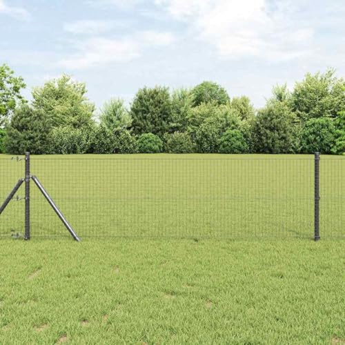 1 rouleau de grillage soudé, gris, 0,8 x 100 m, pour jardin et terrasse, clôture de jardin robuste, barrière de jardin, barrière pour animaux, montage facile