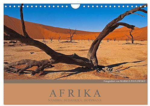 Afrika Impressionen. NAMIBIA - SÜDAFRIKA - BOTSWANA (Wandkalender 2025 DIN A4 quer), CALVENDO Monatskalender: Wildlife und atemberaubende Landschaften (CALVENDO Orte)