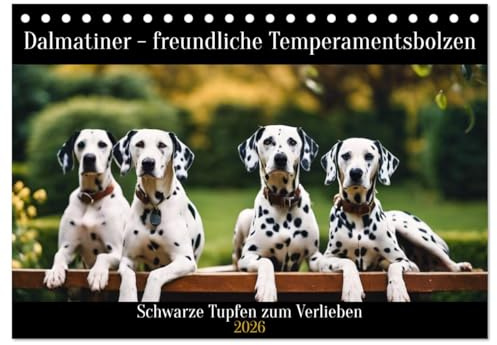 Dalmatiner - freundliche Temperamentsbolzen (Tischkalender 2026 DIN A5 quer), CALVENDO Monatskalender: Schwarze Punkte zum Verlieben (CALVENDO Tiere)