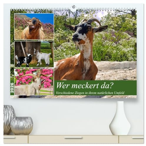 Wer meckert da? (hochwertiger Premium Wandkalender 2026 DIN A2 quer), Kunstdruck in Hochglanz: Verschiedene Ziegen in ihrem natürlichen Umfeld (CALVENDO Tiere)