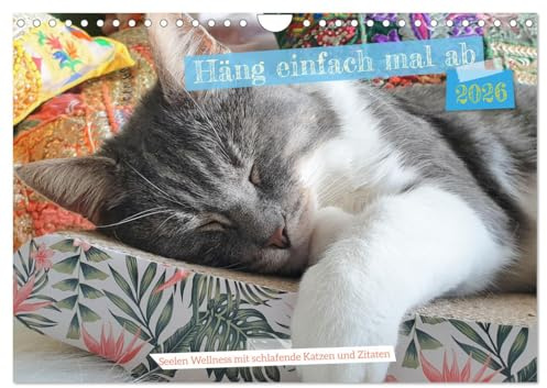 Häng einfach mal ab (Wandkalender 2026 DIN A4 quer), CALVENDO Monatskalender: Schlafende Katzen und Zitate zum Träumen - Wellness für die Seele (CALVENDO Gesundheit)