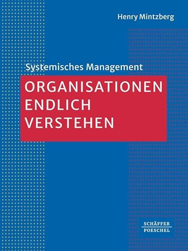 Organisationen endlich verstehen (Systemisches Management)