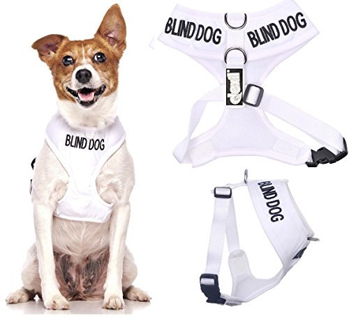 Blind Dog (Hund Hat Limited/keine Sight) weiß Farbe Kodiert non-pull Vorder- und Rückseite D-Ring gepolstert und wasserdicht Weste Hundegeschirr verhindert Unfälle durch vorwarnen anderer Hunde in Advance ( kleine Hals bis zu 31 cm Brust 36-58cm)