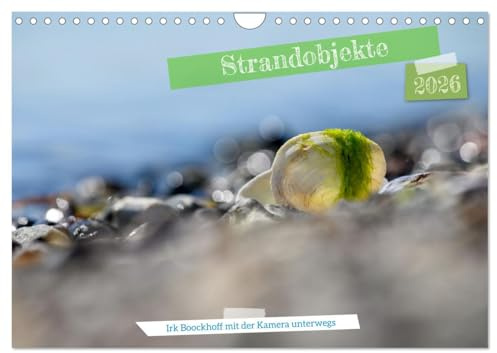 Strandobjekte (Wandkalender 2026 DIN A4 quer), CALVENDO Monatskalender: Strandobjekte mit der Kamera eingefangen (CALVENDO Natur)