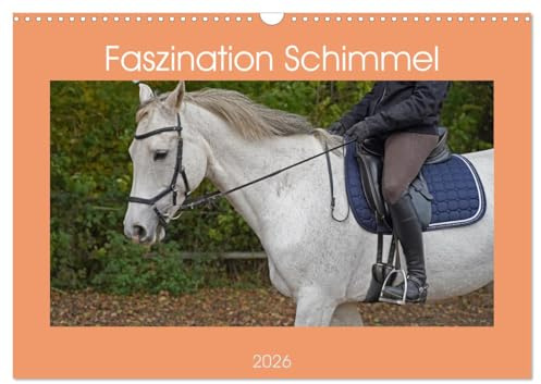 Faszination Schimmel (Wandkalender 2026 DIN A3 quer), CALVENDO Monatskalender: Ein Reittag mit dem Schimmel Wallach Clark und der Schimmel Stute Coco (CALVENDO Tiere)