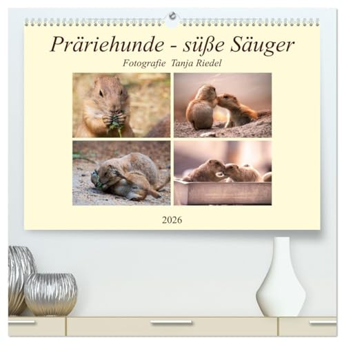 Präriehunde - süße Säuger (hochwertiger Premium Wandkalender 2026 DIN A2 quer), Kunstdruck in Hochglanz: Naturforscher haben herausgefunden, dass ... entsprechend warnen können (CALVENDO Tiere)