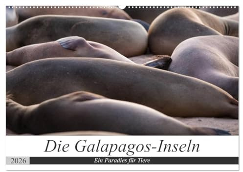 Galapagos-Inseln - Ein Paradies für Tiere (Wandkalender 2026 DIN A2 quer), CALVENDO Monatskalender: Die faszinierende Tierwelt der Galapagos-Inseln (CALVENDO Tiere)