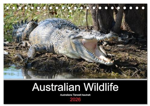 Australian Wildlife (Tischkalender 2026 DIN A5 quer), CALVENDO Monatskalender: Australiens Tierwelt hautnah erleben. (CALVENDO Tiere)